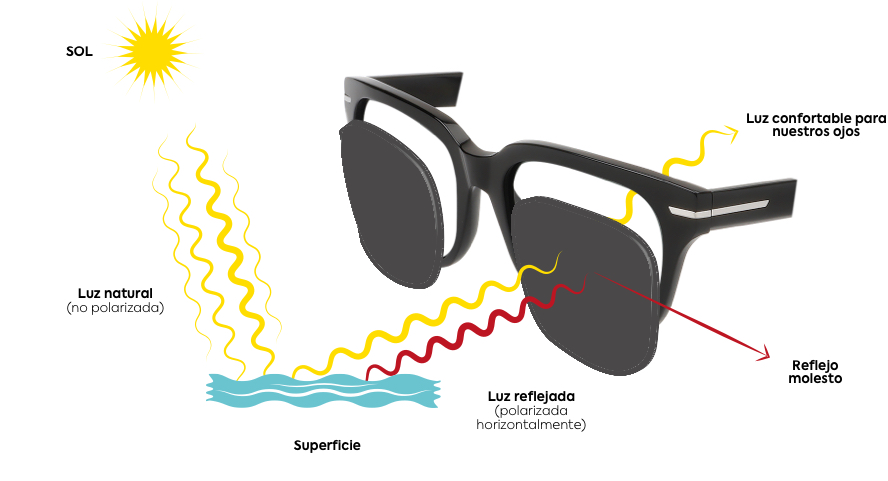 Nuestras gafas de sol polarizadas: visión a todo color sin